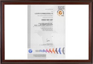 OHSAS18001健康认证